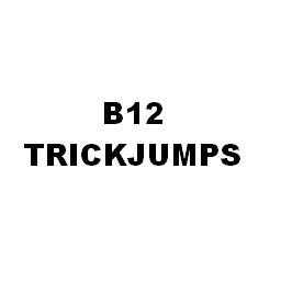 b12