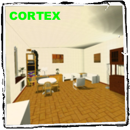 cortex_eng_v2