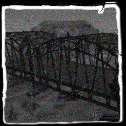 md_bridge