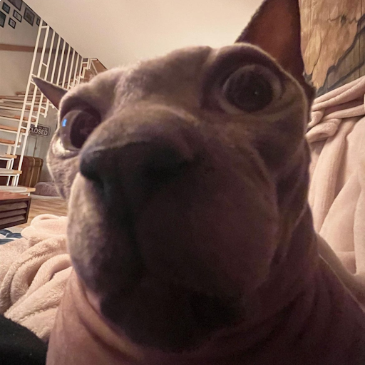numbgamma